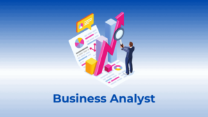 biznes analitik kursu